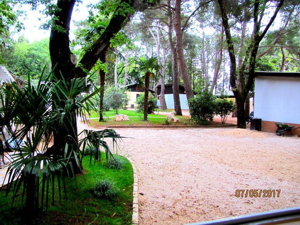 Holiday Park Mimoza Basanija Exterior photo